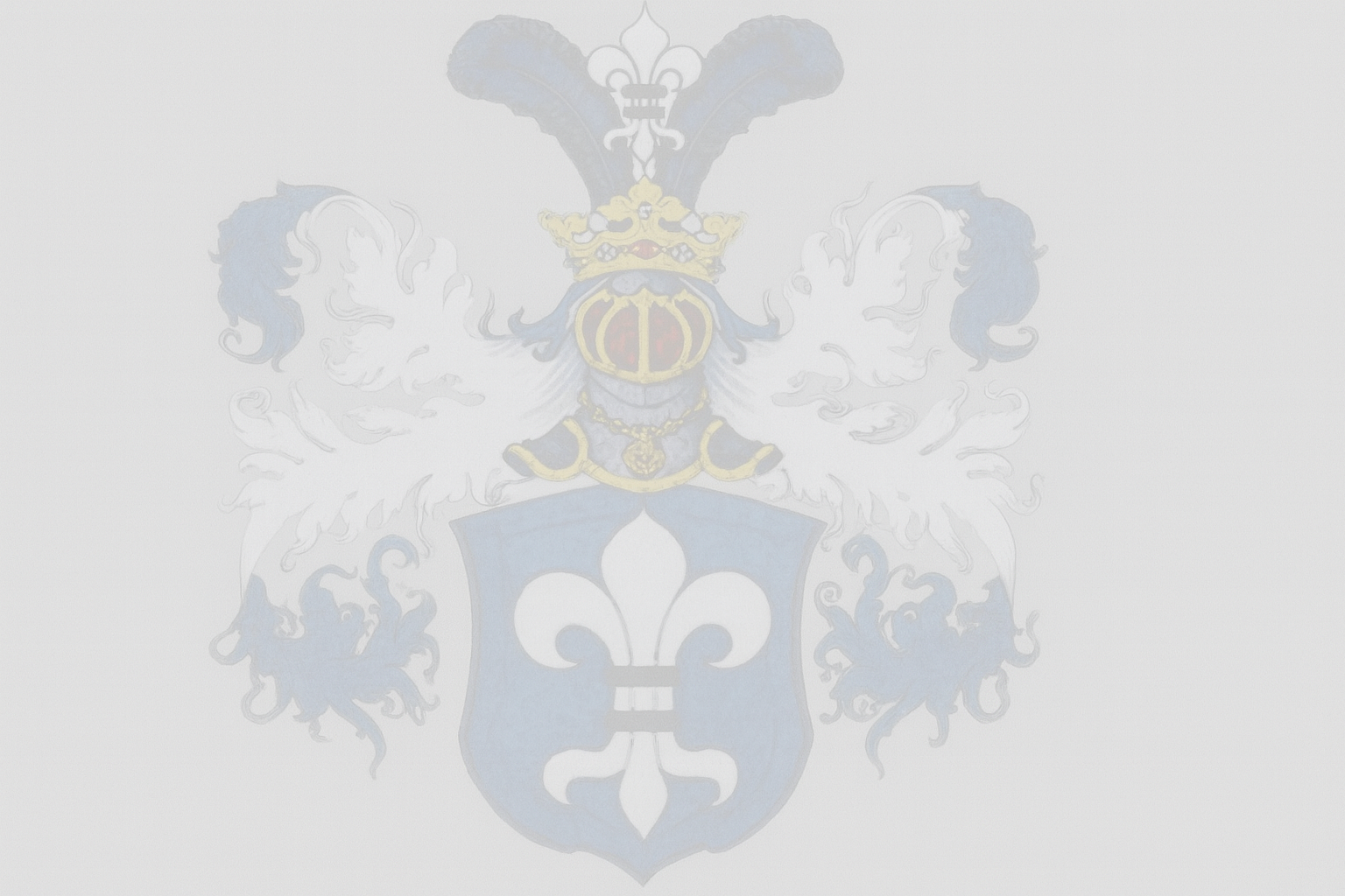 Senior Frontend Entwickler (m/w/d)